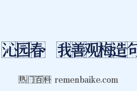 沁园春·我善观梅造句是什么意思的图片